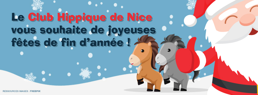 Bonne Ftes de fin d'anne !!!